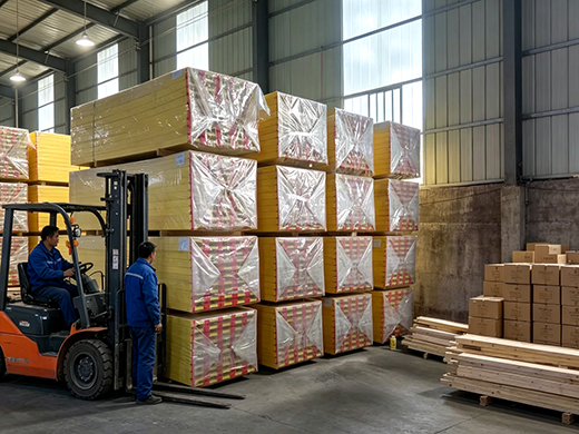PVC plastic formwork shoring system2
